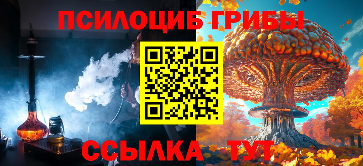 Холмск  Галлюциногенные грибы прущие грибы  Вход с VPN 
